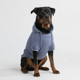 Pull à Capuche Essentiel Pour Chien - Bleu Ardoise