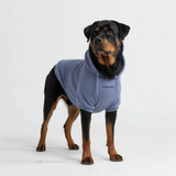 Pull à Capuche Essentiel Pour Chien - Bleu Ardoise