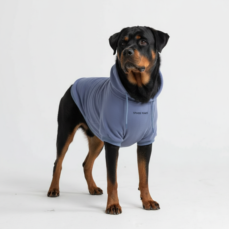 Pull à Capuche Essentiel Pour Chien - Bleu Ardoise