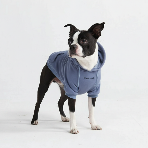 Pull à Capuche Essentiel Pour Chien - Bleu Ardoise