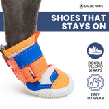 Orange Blue Shoes