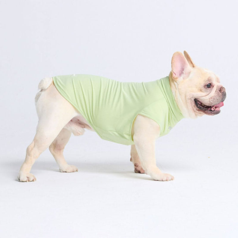 T-shirt pour chien avec écran solaire - Vert clair