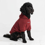 Pull à Capuche Essentiel Pour Chien - Bourgogne