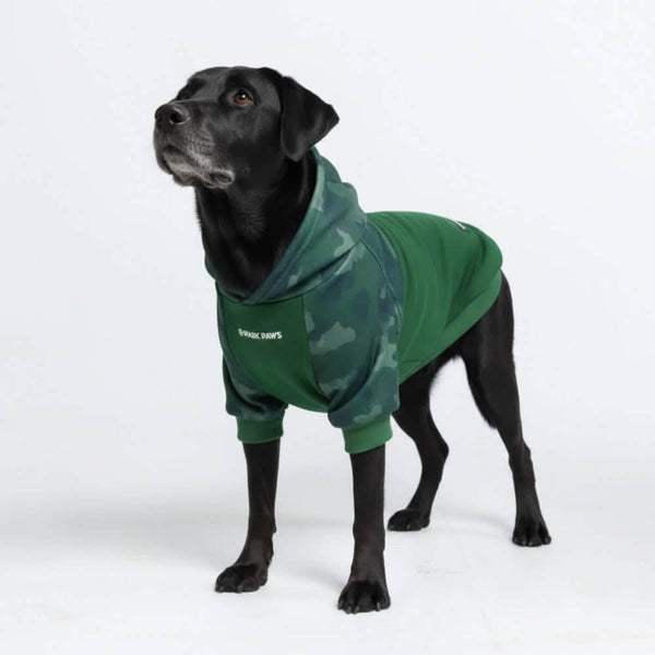 Sweat à capuche pour chien Forest Camo