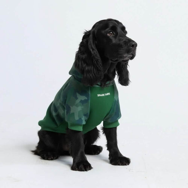 Sweat à capuche pour chien Forest Camo