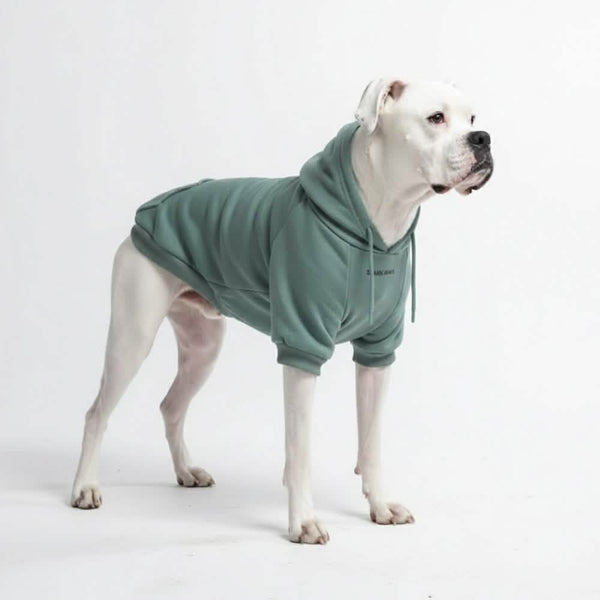 Pull à Capuche Essentiel Pour Chien - Sarcelle