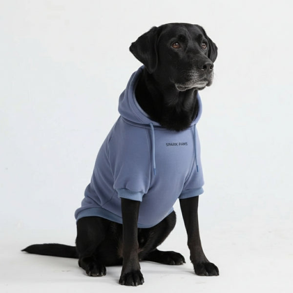 Pull à Capuche Essentiel Pour Chien - Bleu Ardoise