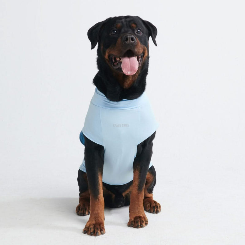 T-shirt pour chien avec écran solaire - Bleu