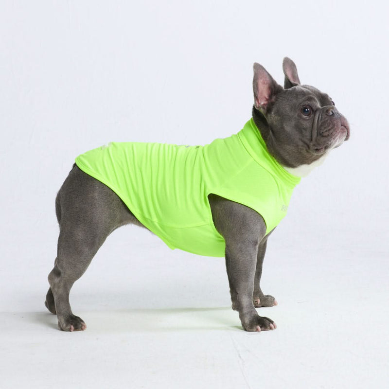 T-shirt pour chien avec écran solaire - Néon