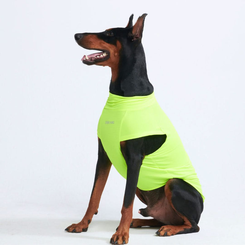 T-shirt pour chien avec écran solaire - Néon
