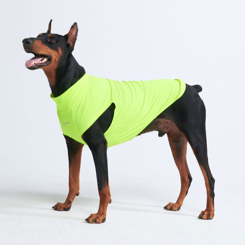 T-shirt pour chien avec écran solaire - Néon