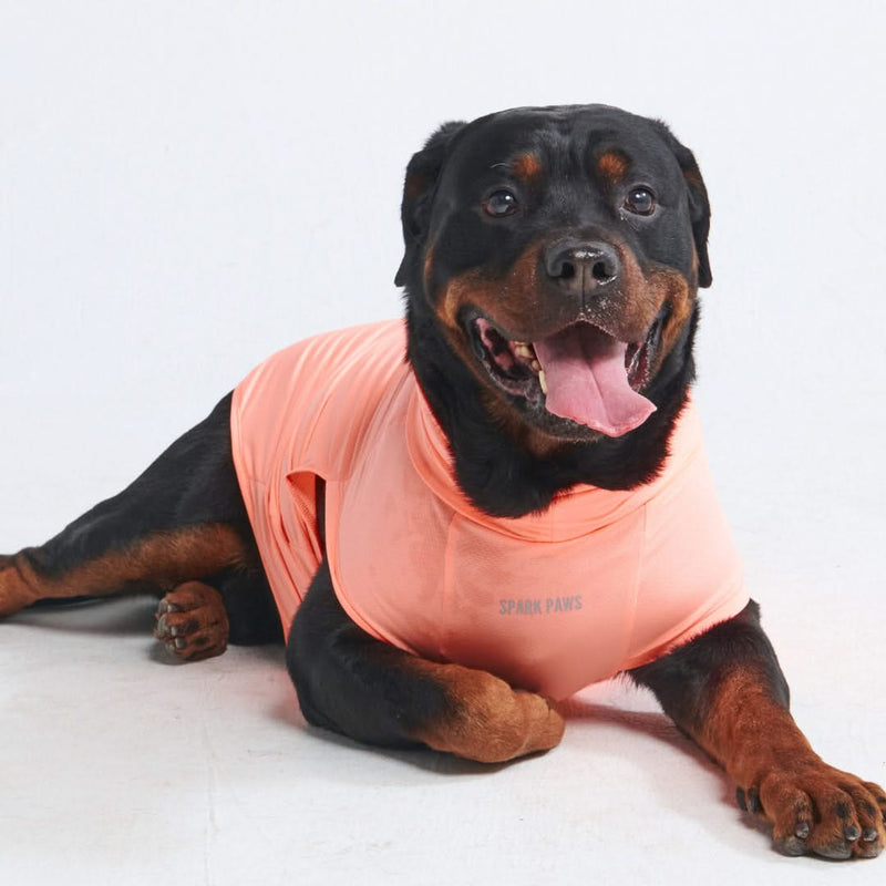 T-shirt pour chien avec écran solaire - Pêche