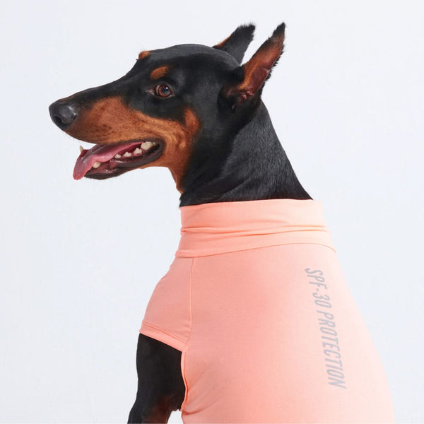 T-shirt pour chien avec écran solaire - Pêche