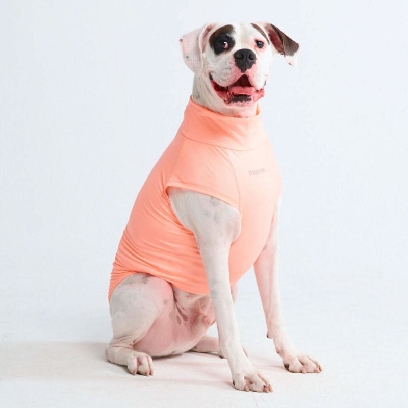 T-shirt pour chien avec écran solaire - Pêche