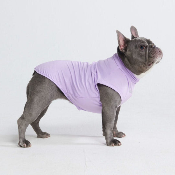 T-shirt pour chien avec écran solaire - Violet