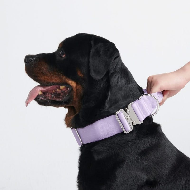 Collier tactique pour chien - Lilas