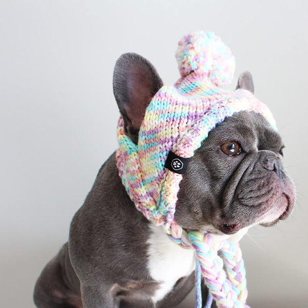 Chapeau d'hiver en tricot pour chiens