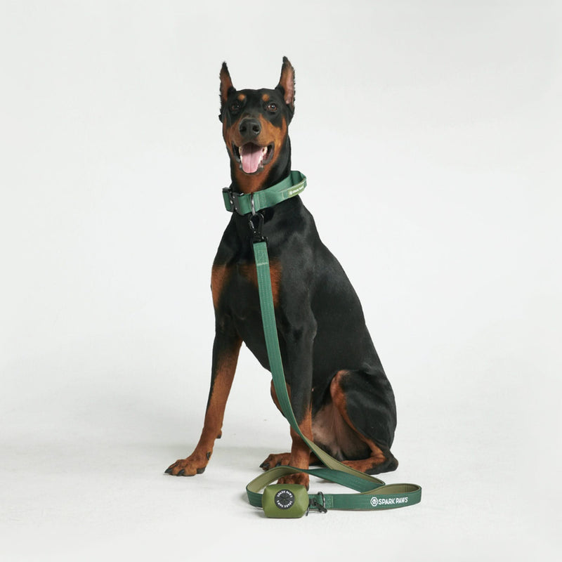 Ensemble de colliers tactiques pour chien - Multi-couleur (1.5"/4cm)