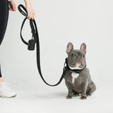 Ensemble de colliers tactiques pour chien - Multi-couleur (1.5"/4cm)