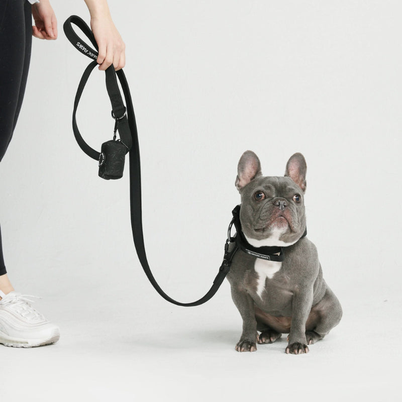 Ensemble de colliers tactiques pour chien - Multi-couleur (1.5"/4cm)