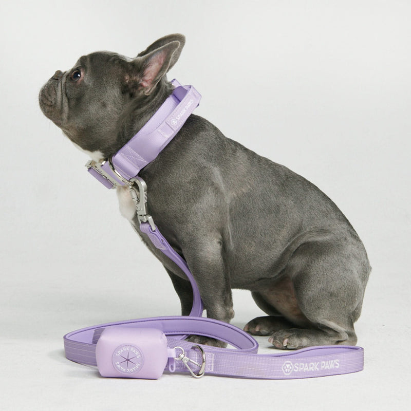 Ensemble de colliers tactiques pour chien - Multi-couleur (1.5"/4cm)