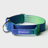 Ensemble de colliers tactiques pour chien - Vague de citron vert (1.5"/4cm)