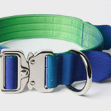 Ensemble de colliers tactiques pour chien - Vague de citron vert (1.5"/4cm)