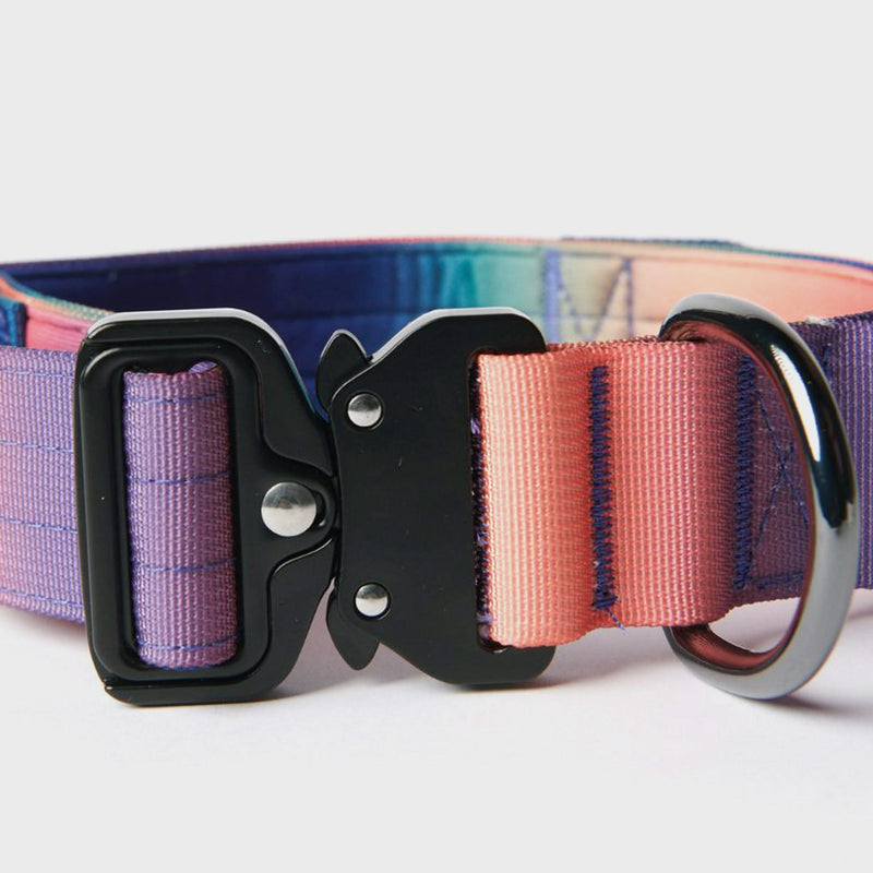 Ensemble de colliers tactiques pour chien - Kaléidoscope (1.5"/4cm)