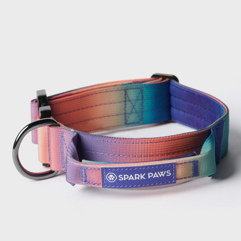 Ensemble de colliers tactiques pour chien - Kaléidoscope (1.5"/4cm)