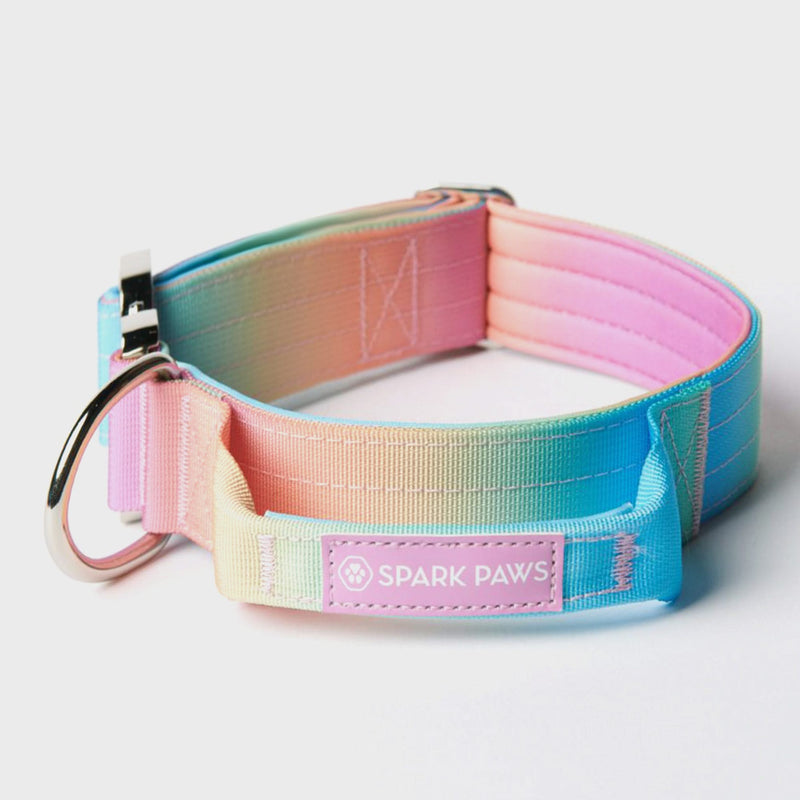 Ensemble de colliers tactiques pour chien - Glaçage pastel (1.5"/4cm)