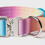 Ensemble de colliers tactiques pour chien - Glaçage pastel (1.5"/4cm)