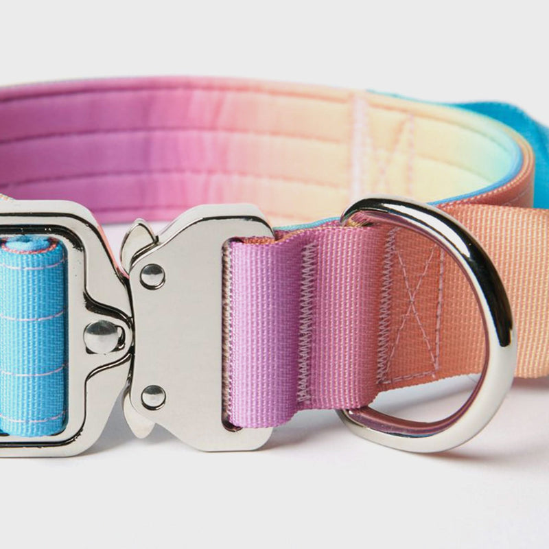 Ensemble de colliers tactiques pour chien - Glaçage pastel (1.5"/4cm)