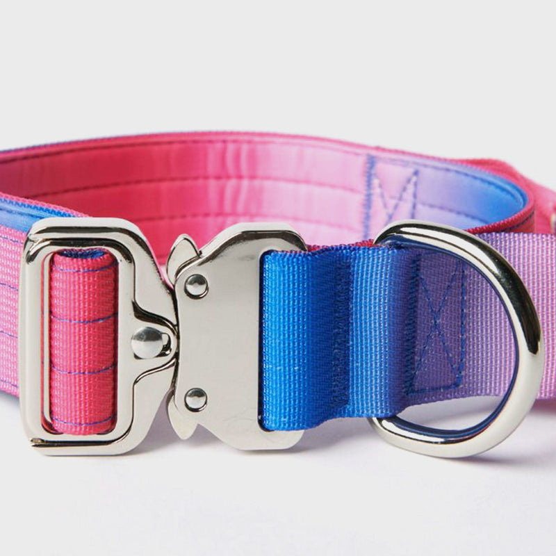 Ensemble de colliers tactiques pour chien - Cône de neige (1.5"/4cm)