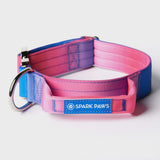 Ensemble de colliers tactiques pour chien - Cône de neige (1.5"/4cm)
