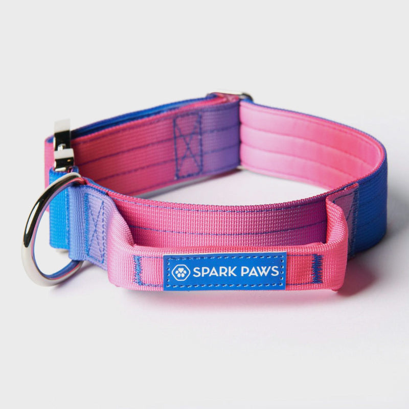Ensemble de colliers tactiques pour chien - Cône de neige (1.5"/4cm)