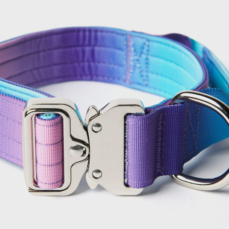 Ensemble de colliers tactiques pour chien - Rétro des années 90 (1.5"/4cm)