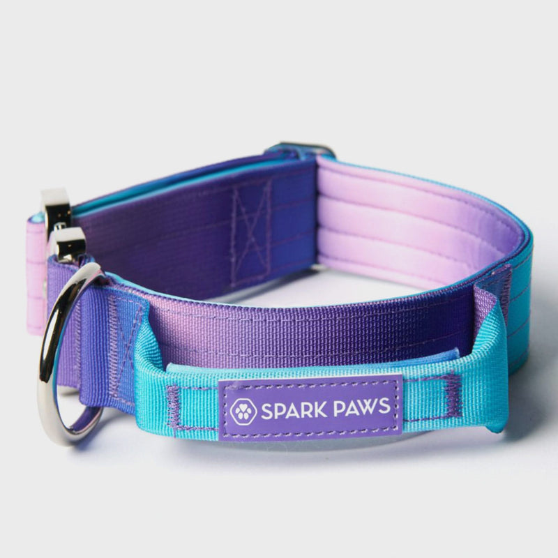 Ensemble de colliers tactiques pour chien - Rétro des années 90 (1.5"/4cm)