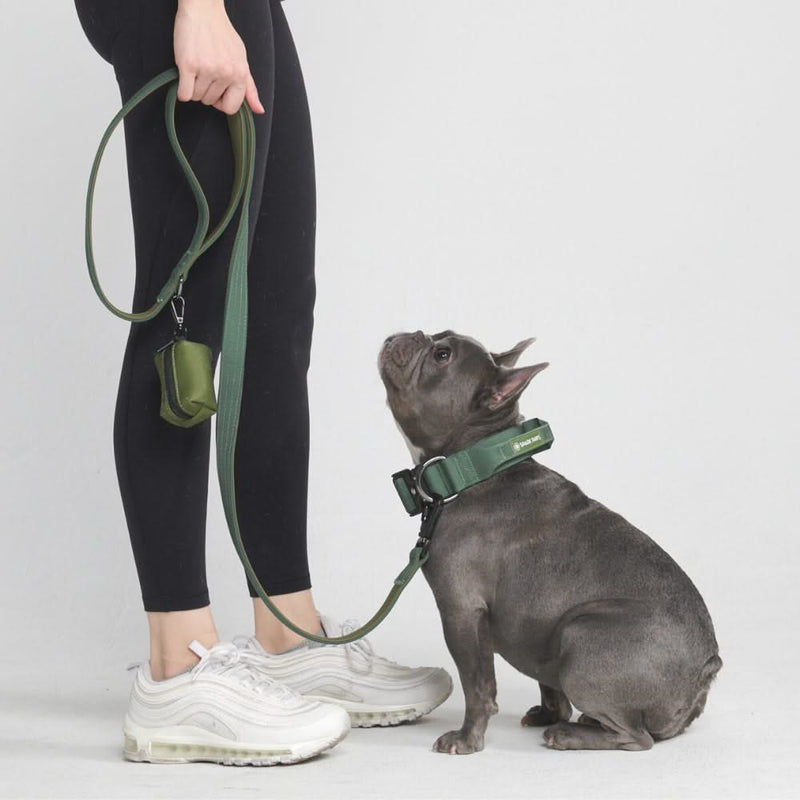 Ensemble de colliers tactiques pour chien - Vert armée (1.5"/4cm)