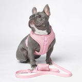 Ensemble de harnais pour chien Yogawear - Rose
