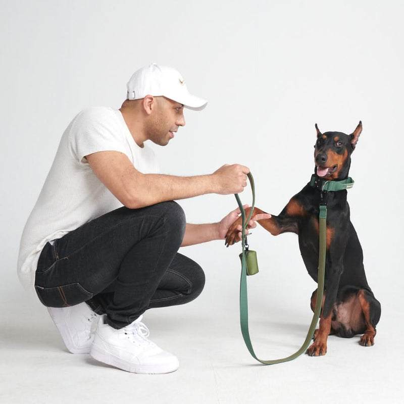 Ensemble de colliers tactiques pour chien - Vert armée (1.5"/4cm)