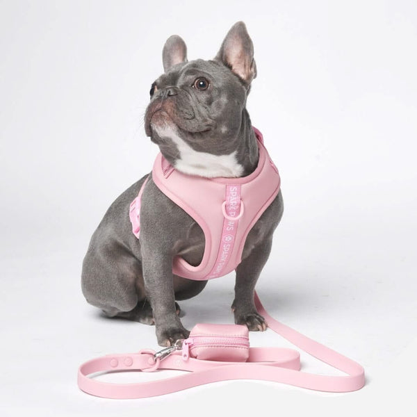 Ensemble de harnais pour chien Yogawear - Rose