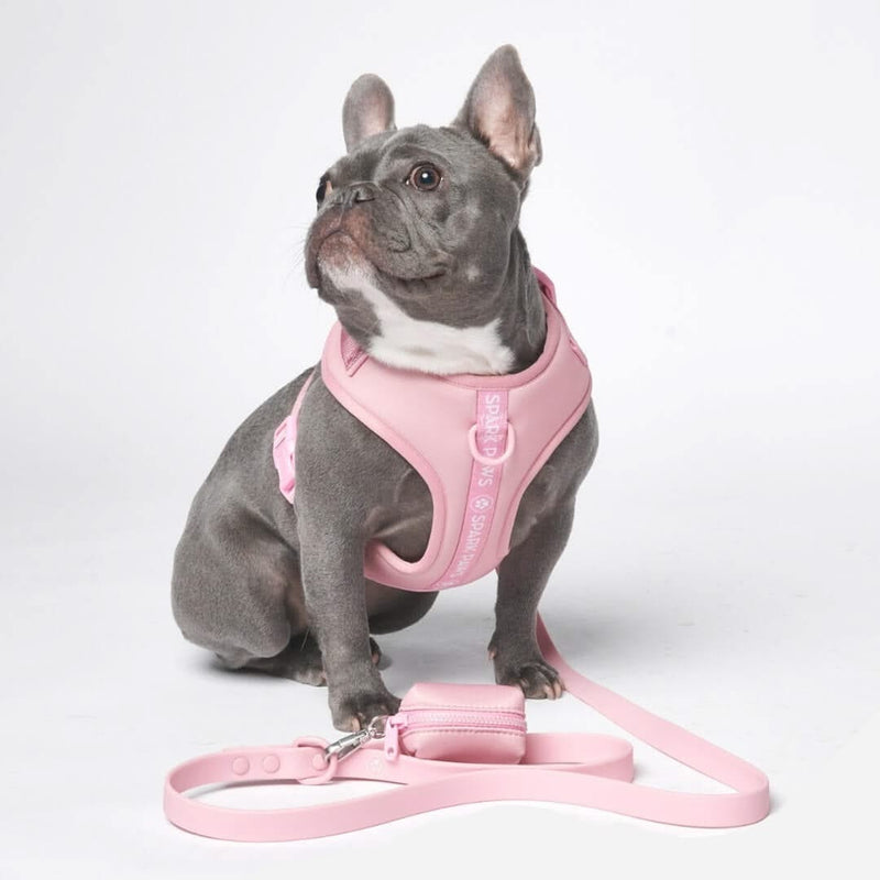 Ensemble de harnais pour chien Yogawear - Rose