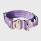 Collier tactique pour chien - Lilas