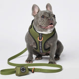 Ensemble de harnais pour chien Yogawear - Vert