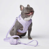 Ensemble de harnais pour chien Yogawear - Lilac