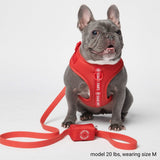 Laisse pour chien en PVC imperméable - Rouge