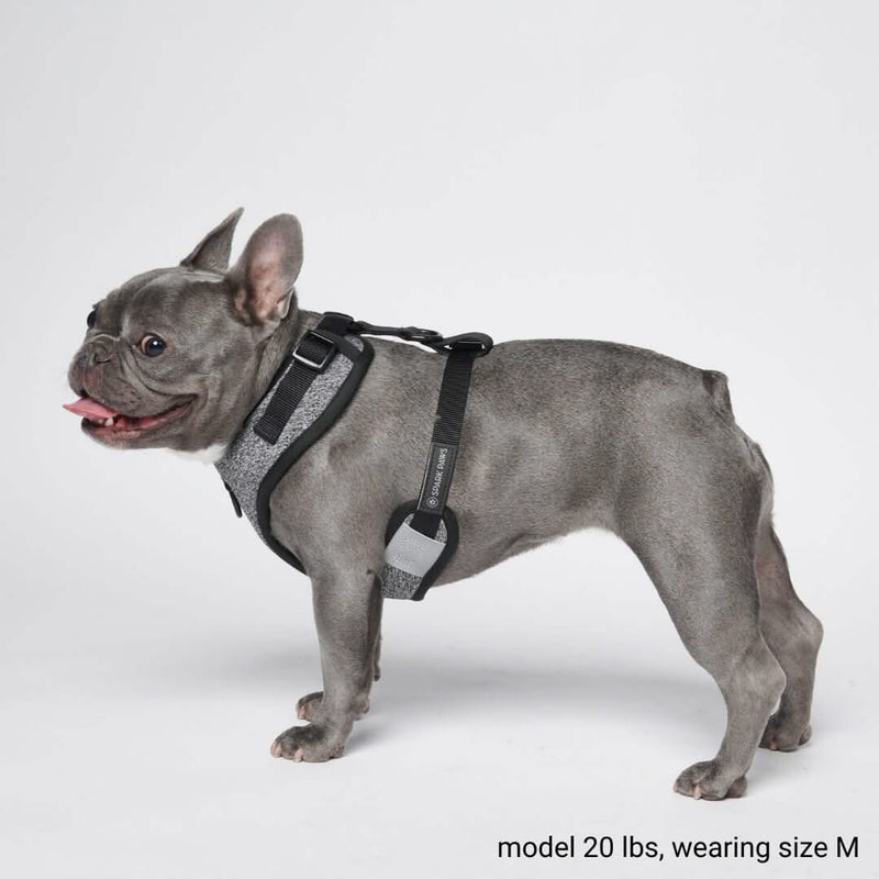 Harnais pour chien Yogawear - Gris