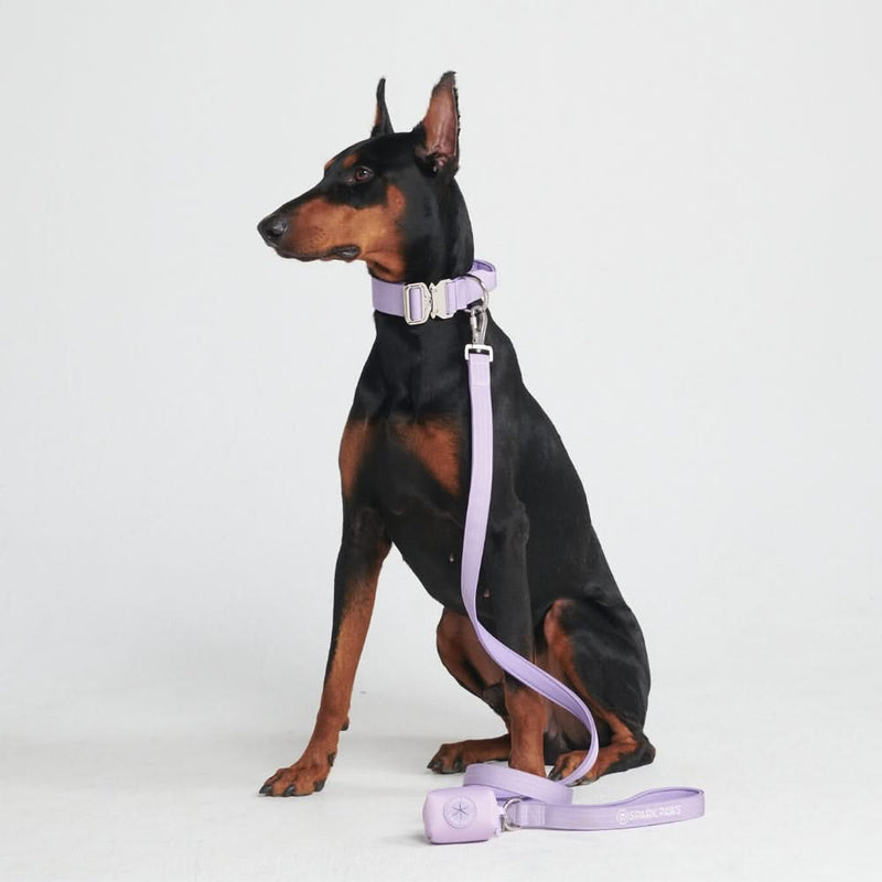 Ensemble de colliers tactiques pour chien - Lilas (1.5"/4cm)