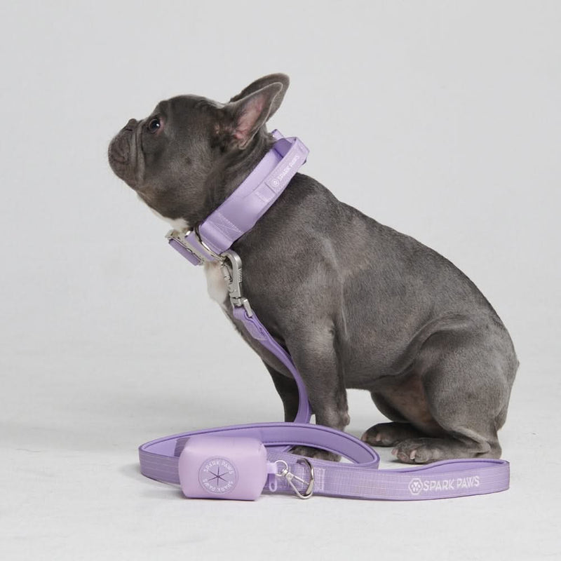 Ensemble de colliers tactiques pour chien - Lilas (1.5"/4cm)