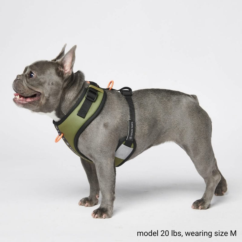 Ensemble de harnais pour chien Yogawear - Vert